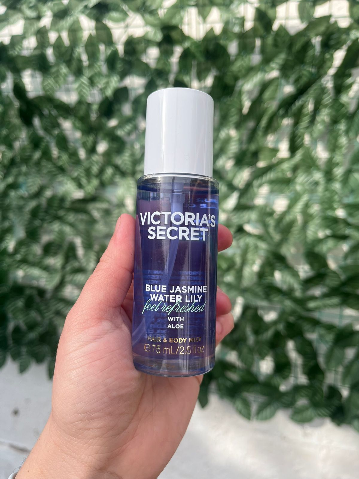 Mini Mist Blue Jasmine Water Lily